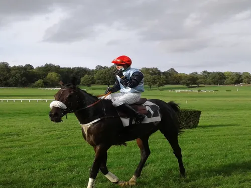 Hippisme : nos préférés pour ce dimanche 3 octobre